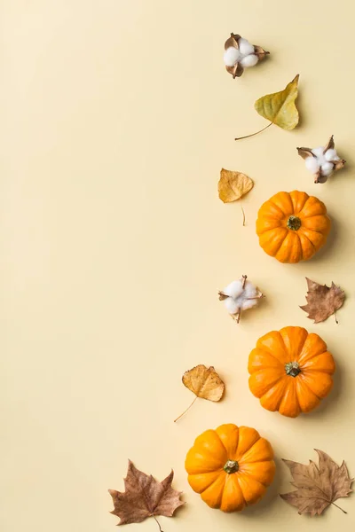 Höst höst Thanksgiving Day komposition med dekorativa orange — Stockfoto