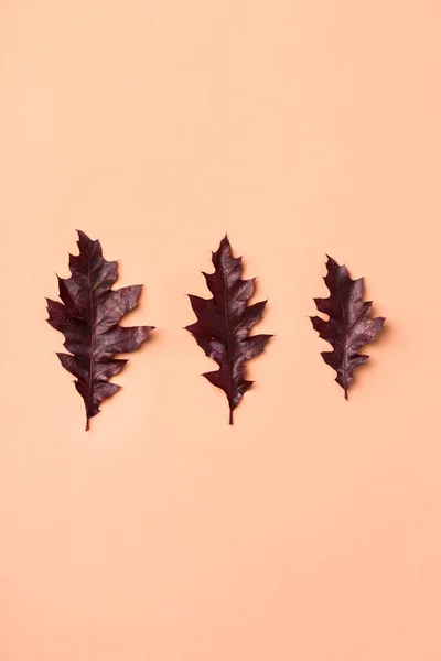 Kreative Herbst-Erntedank-Komposition mit dekorativen — Stockfoto