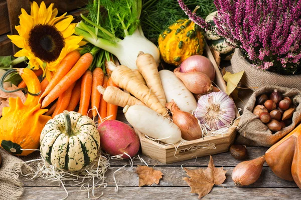 Asortyment lub rynek rolny bio organiczne dojrzałe warzywa — Zdjęcie stockowe