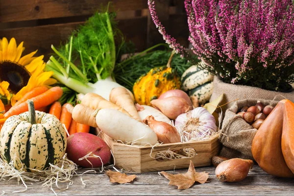 Assortment or farmer market bio organic ripe root vegetables — Stock Photo, Image