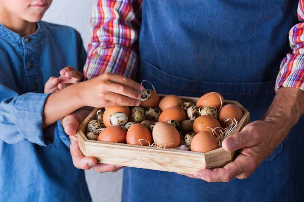 Senior farmer man holding in hands fresh eggs and giving to young boy. Assortment of chicken and quail easter eggs. Organic market, bio food delivery, homegrown, homemade, eco-friendly concept.