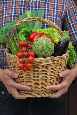 Meyve bahçesinden olgun sebzeler çiftçilerin elinde. Hasat konsepti, çiftlik, pazar, organik gıda teslimatı, sıfır atık, çevre dostu konsept.