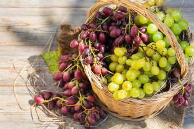 Sepette taze organik şarap üzümü hasat et. Biyolojik ve organik kültürler, tarım, özel bahçe, meyve bahçesi, üzüm bağı, doğal ekonomi. Sonbahar, sonbahar zamanı.