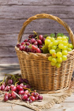 Sepette taze organik şarap üzümü hasat et. Biyolojik ve organik kültürler, tarım, özel bahçe, meyve bahçesi, üzüm bağı, doğal ekonomi. Sonbahar, sonbahar zamanı.