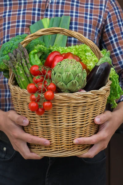 Meyve bahçesinden olgun sebzeler çiftçilerin elinde. Hasat konsepti, çiftlik, pazar, organik gıda teslimatı, sıfır atık, çevre dostu konsept.