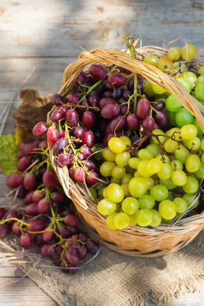 Récolte Raisin Vin Frais Bio Dans Panier Cultures Biologiques Biologiques — Photo