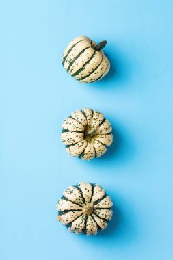 Sonbahar sonbaharı Şükran Günü kompozisyonu dekoratif portakal kabakları ve kuru yapraklarla. Düz konum, üst görünüm, kopyalama alanı, tebrik kartı için durgun yaşam arkaplanı