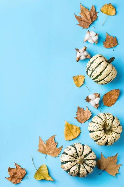 Hösten Höst Thanksgiving Dag Sammansättning Med Dekorativa Orange Pumpor Och — Stockfoto