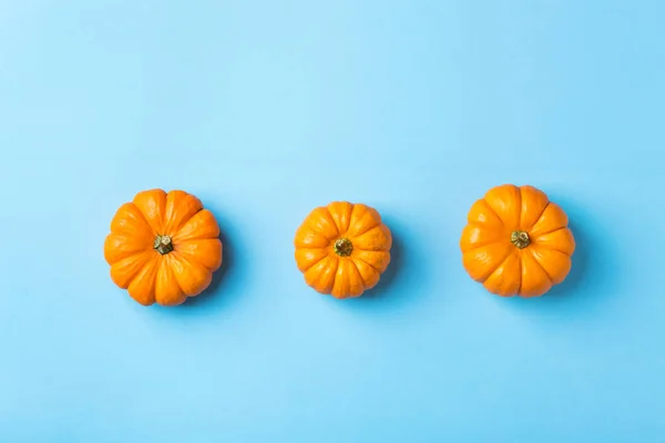 Hösten Höst Thanksgiving Dag Sammansättning Med Dekorativa Orange Pumpor Och — Stockfoto