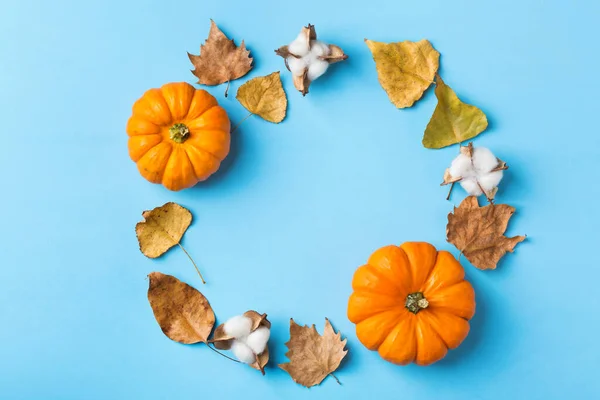 Hösten Höst Thanksgiving Dag Sammansättning Med Dekorativa Orange Pumpor Och — Stockfoto