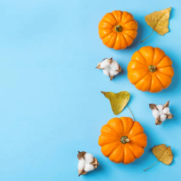 Hösten Höst Thanksgiving Dag Sammansättning Med Dekorativa Orange Pumpor Och — Stockfoto