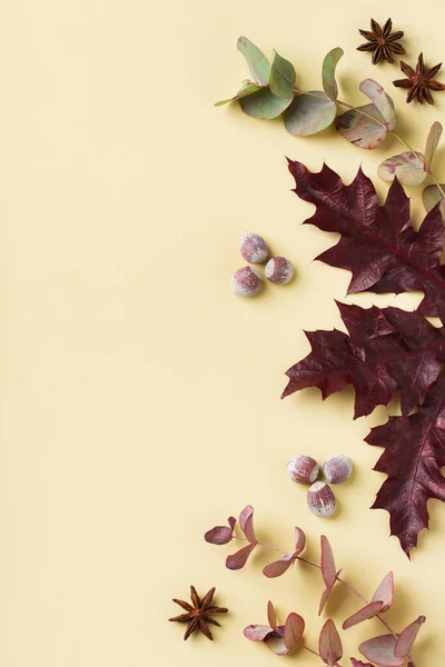 Kreativ Höst Thanksgiving Dag Komposition Med Dekorativa Torkade Blad Platt — Stockfoto