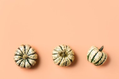 Dekoratif balkabaklı yaratıcı sonbahar şükran günü kompozisyonu. Düz konum, üst görünüm, kopyalama alanı, hayat boyu mercan pembe arkaplan tebrik kartı için