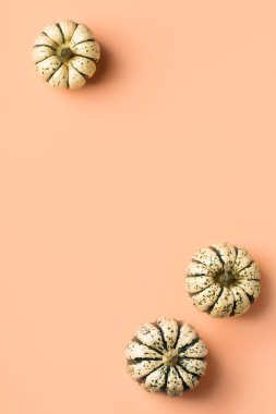 Dekoratif balkabaklı yaratıcı sonbahar şükran günü kompozisyonu. Düz konum, üst görünüm, kopyalama alanı, hayat boyu mercan pembe arkaplan tebrik kartı için