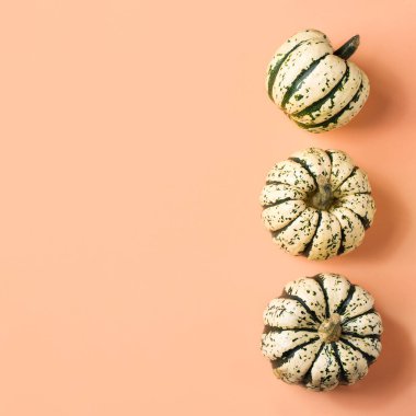 Dekoratif balkabaklı yaratıcı sonbahar şükran günü kompozisyonu. Düz konum, üst görünüm, kopyalama alanı, hayat boyu mercan pembe arkaplan tebrik kartı için