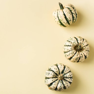 Dekoratif balkabaklı yaratıcı sonbahar şükran günü kompozisyonu. Düz konum, üst görünüm, kopyalama alanı, tebrik kartı için yaşam sarısı arkaplan