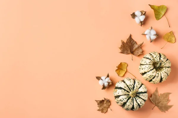 Kreativ Höst Thanksgiving Dag Komposition Med Dekorativa Pumpor Och Torkade — Stockfoto