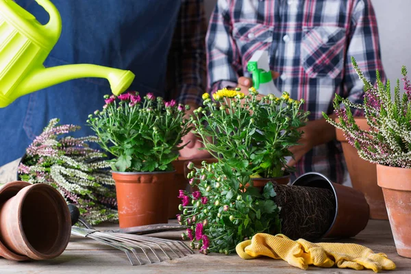 Giardinaggio Uomo Padre Ragazzo Bambino Durante Soggiorno Casa Attività Che — Foto Stock