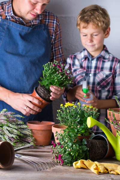 Gardening man, father and a boy, kid during staying at home. Activity stimulating mental and brain health. Planting and growing  autumn flowers, eco-friendly hobby and leisure, family time concept.