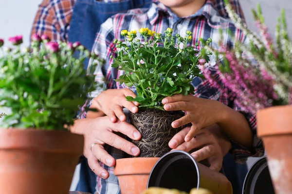 Giardinaggio Uomo Padre Ragazzo Bambino Durante Soggiorno Casa Attività Che — Foto Stock