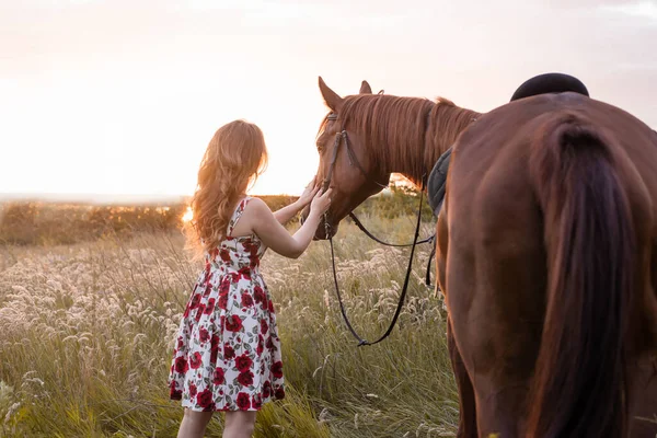 Rückansicht einer jungen Bäuerin, die ihr braunes Pferd umarmt und bei Sonnenuntergang in Tieraugen auf dem Feld blickt — Stockfoto