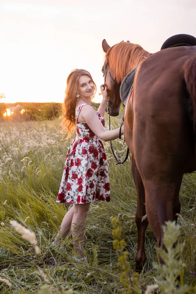 Side view of young farmer woman hugging her brown horse,looking into eyes of animal in the field at sunset — Stock Photo, Image