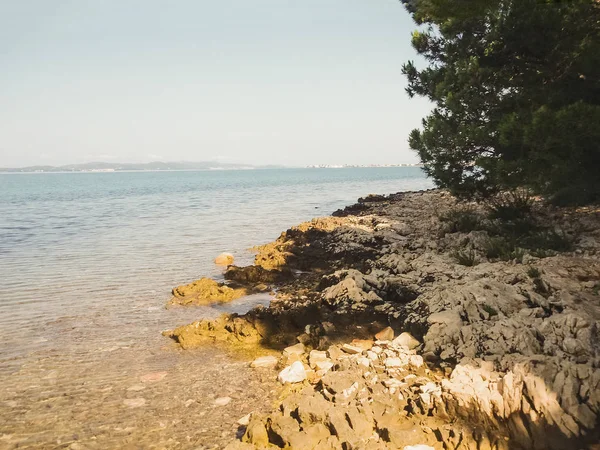 Colorida Playa Rocosa Con Bosque Cerca Del Océano —  Fotos de Stock