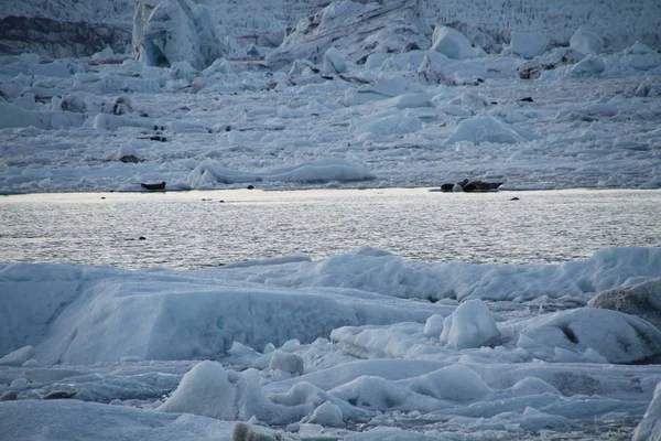 Islândia Lagoa Jokulsarlon Bela Paisagem Fria Imagem Baía Lagoa Geleira — Fotografia de Stock