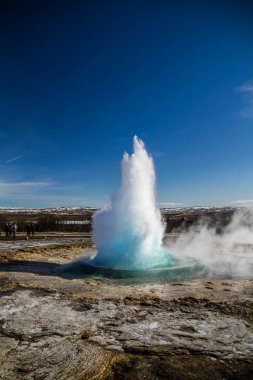 İzlanda'daki Geysir destrict. Haukadalur Jeotermal alanı patlayan Strokkur şofben altın daire parçası güzergahı, İzlanda '. Güney Batı İzlanda üzerinde Strokkur Geysir şofben. Ünlü turistik Geysir rota 35.