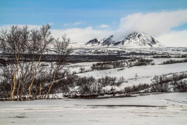 Dimmuborgir, Myvatn, İzlanda doğusunda alışılmadık şekilli lav alanlarının geniş bir alanda. Myvatn alanı - İzlanda. Dimmuborgir alan çeşitli volkanik mağaralar ve kaya oluşumları, antik bir daraltılmış Kalesi anımsatan oluşur. 