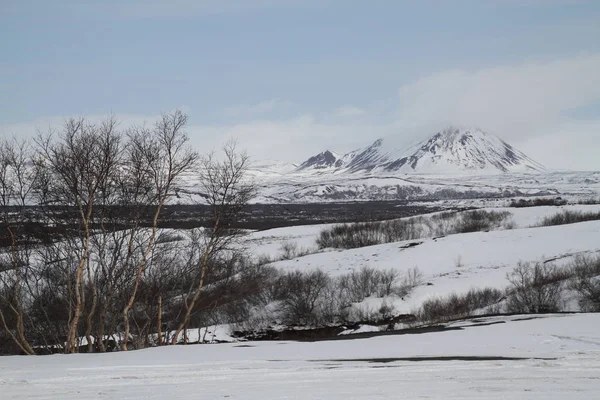 Dimmuborgir Uma Grande Área Campos Lava Forma Invulgar Leste Myvatn — Fotografia de Stock