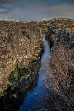 Thingvellir National Park in Iceland. ingvellir or Thingvellir national park in Iceland, is a site of historical, cultural, and geological significance. The Silfra fissure between the North American and Eurasian continental plates located here. clipart