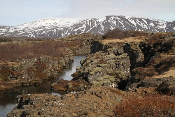 Zlanda Daki Thingvellir Milli Parkı Ingvellir Veya Thingvellir Milli Parkı — Stok fotoğraf