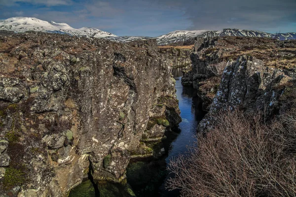 Národního Parku Thingvellir Islandu Ingvellir Nebo Národního Parku Thingvellir Islandu — Stock fotografie