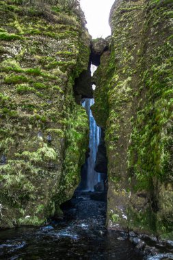 Kış aylarında İzlanda'daki güzel Seljalandsfoss. Kışın, nehir yansıma güzel şelale Seljalandsfoss gündoğumu ışıklar altında donmuş. Seljalandsfoss İzlanda'daki Güney bölgesinde yer alan. 