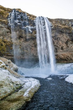 Kış aylarında İzlanda'daki güzel Seljalandsfoss. Kışın, nehir yansıma güzel şelale Seljalandsfoss gündoğumu ışıklar altında donmuş. Seljalandsfoss İzlanda'daki Güney bölgesinde yer alan. 