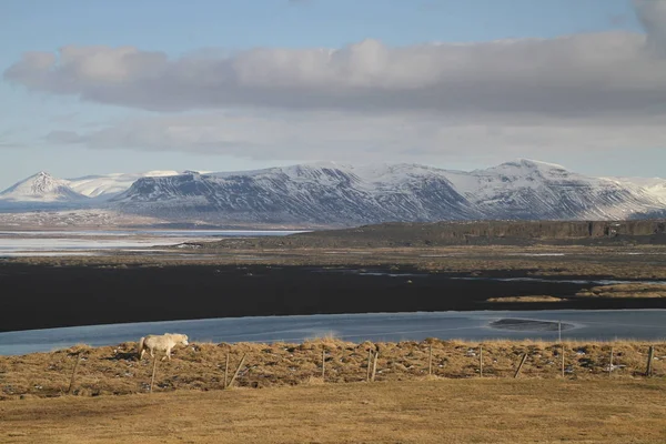 Montañas Épicas Islandia Maravillosa Naturaleza Helénica Tierra Rocosa Altas Montañas —  Fotos de Stock