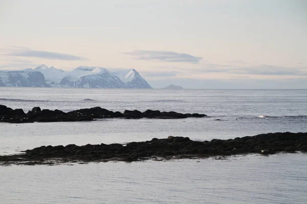 Splendidi Paesaggi Invernali Dell Islanda Fiumi Montagna Meravigliosa Natura Ghiacciata — Foto Stock