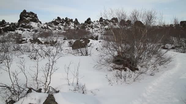 Dimmuborgir Duży Obszar Pola Lawy Niezwykłych Kształtach Wschód Myvatn Islandia — Wideo stockowe