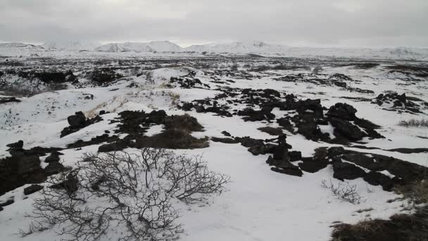 Dimmuborgir 非常に形の溶岩フィールド ミーヴァトン アイスランドの東の大面積 ミーヴァトン エリア アイスランド Dimmuborgir エリアは様々 な火山洞窟や奇岩 — ストック動画