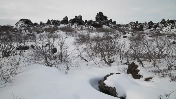 Dimmuborgir 非常に形の溶岩フィールド ミーヴァトン アイスランドの東の大面積 ミーヴァトン エリア アイスランド Dimmuborgir エリアは様々 な火山洞窟や奇岩 — ストック動画