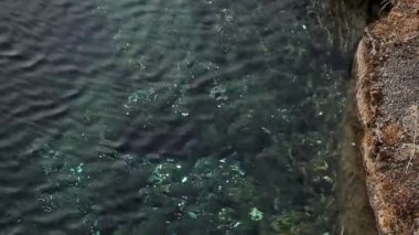 İzlanda'daki Thingvellir Milli Parkı. ? ingvellir veya Thingvellir Milli Parkı İzlanda, tarihsel, kültürel ve jeolojik önemi bir site olduğunu. Kuzey Amerika ve Avrasya kıtasal levha arasında Silfra fissür.