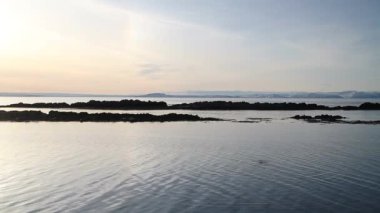 İzlanda'mühür. Liman mühür mühür Grundarfjordur yakın alanda Okyanusu,.
