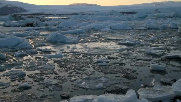 Islande Lagune Jokulsarlon Belle Image Paysage Froid Baie Lagune Glacier — Video