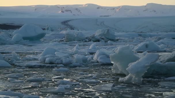 Islande Lagune Jokulsarlon Belle Image Paysage Froid Baie Lagune Glacier — Video