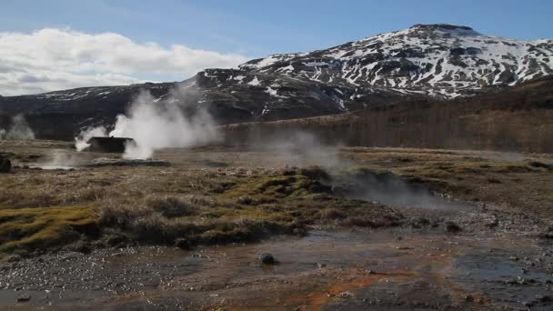 아이슬란드에서는 Geysir Destrict Haukadalur 지역에서 Strokkur 간헐천 서클의 아이슬란드에서 아이슬란드에의 — 비디오