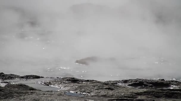 Geysir Destrict Island Den Strokkur Gejser Utbrott Haukadalur Geotermiska Området — Stockvideo