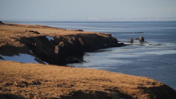 Hvitserkur トロール高玄武岩スタック北西アイスランドの海岸の沖にある岩 スタックは Vatnsnes 半島のドラゴン または象海飲料水の外観を持ちます 叙事詩と美しい風景 — ストック動画