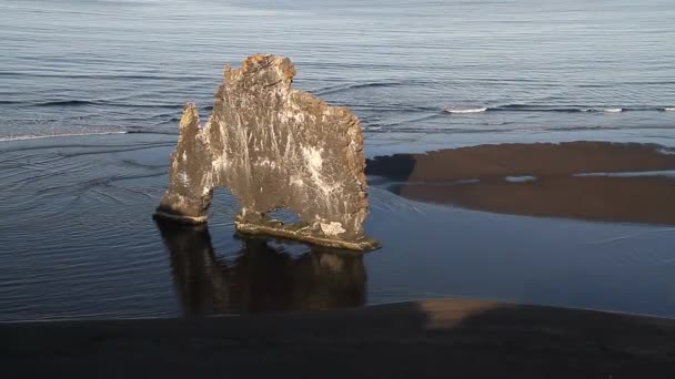 Hvitserkur Συρτή Βράχο Υψηλό Βασάλτη Στοίβα Που Βρίσκεται Στα Ανοικτά — Αρχείο Βίντεο