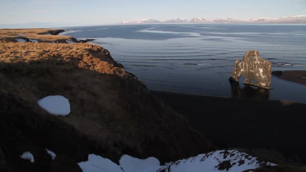 Hvitserkur Troll Rock Magas Bazalt Verem Izland Észak Nyugati Partján — Stock videók